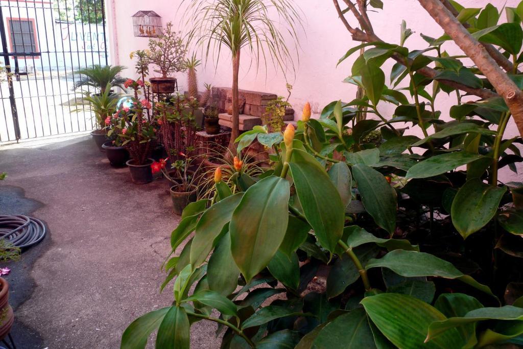 Casa De La Luz - Studio Apartment Tlacotalpan Camera foto